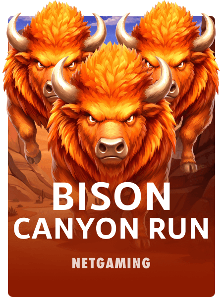 Bison - Canyon Run