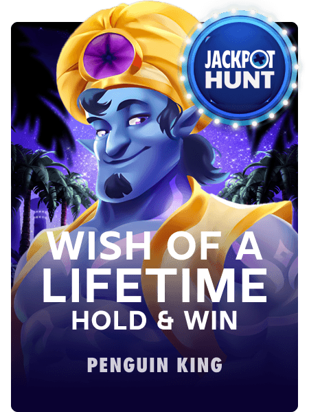 Wish of a Lifetime: Hold & Win