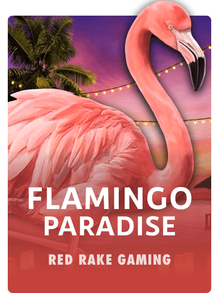 Flamingo Paradise
